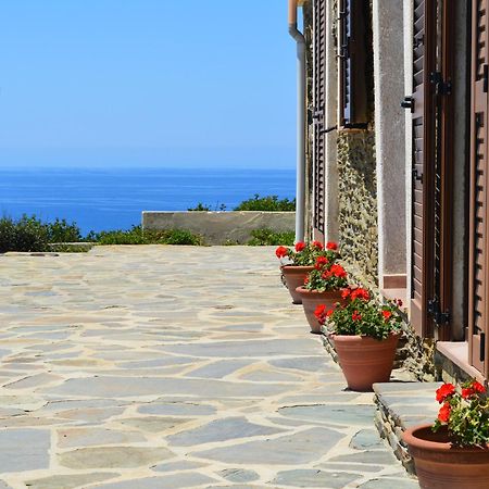 Agriturismo Finagliosu Palmadula Екстериор снимка
