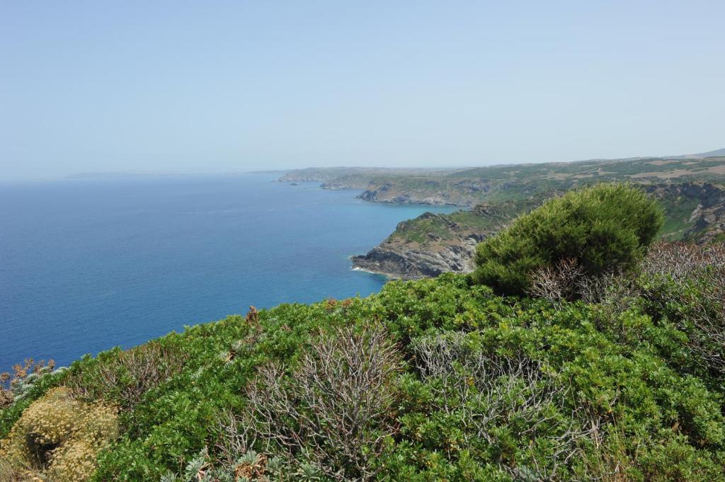 Agriturismo Finagliosu Palmadula Екстериор снимка